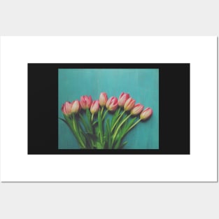 Pink Spring tulips Posters and Art